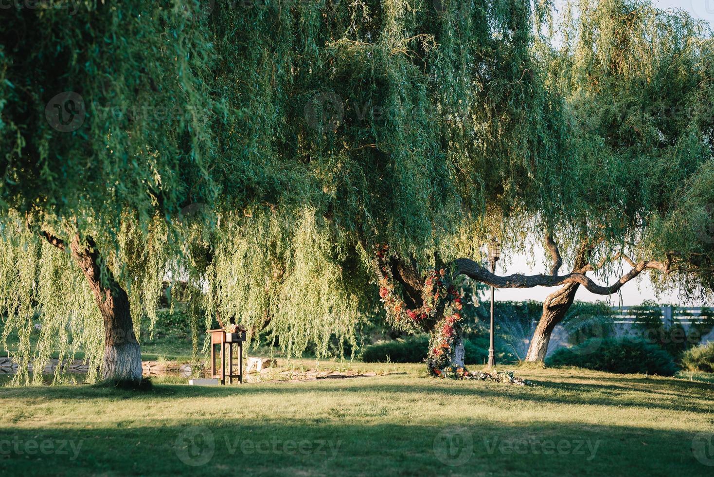 zone de cérémonie de mariage, décor de chaises en arc photo