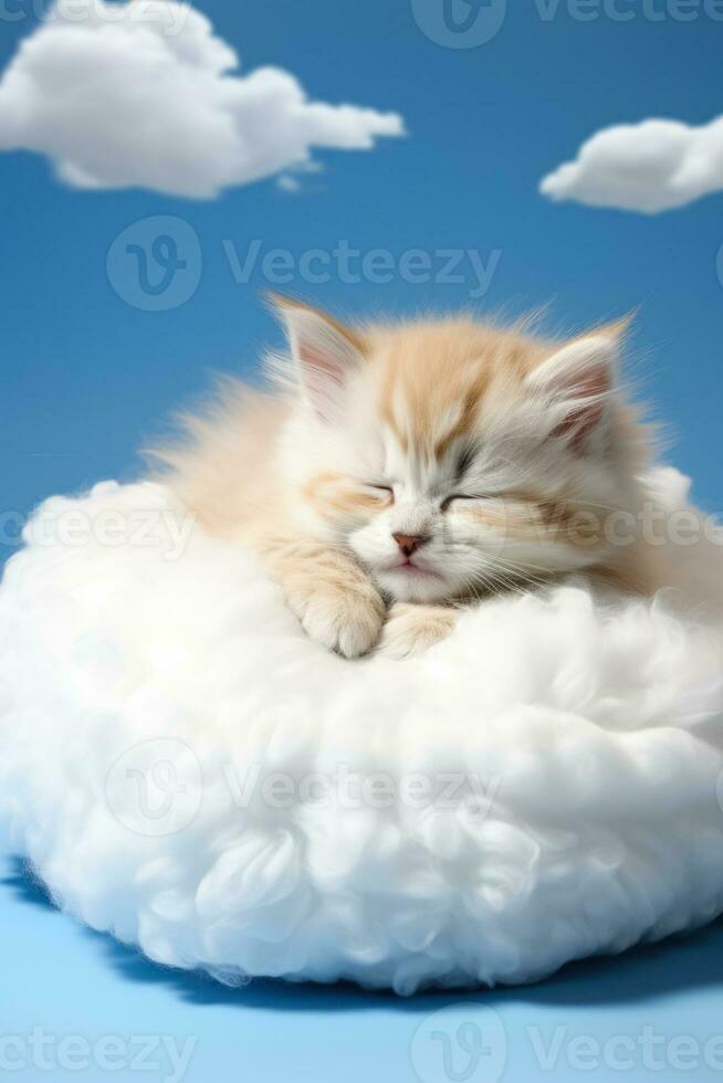 une endormir chaton recourbé sur une nuage oreiller isolé sur une blanc Contexte photo