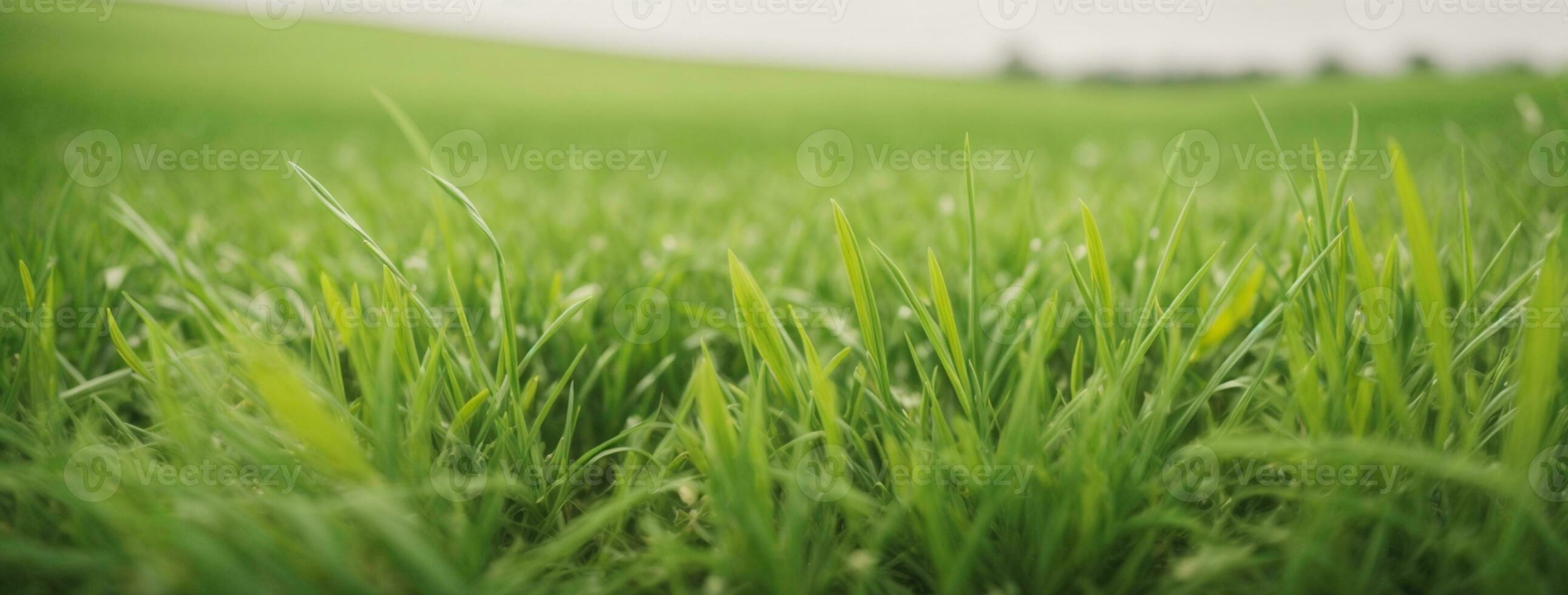 Frais printemps vert herbe. ai généré photo