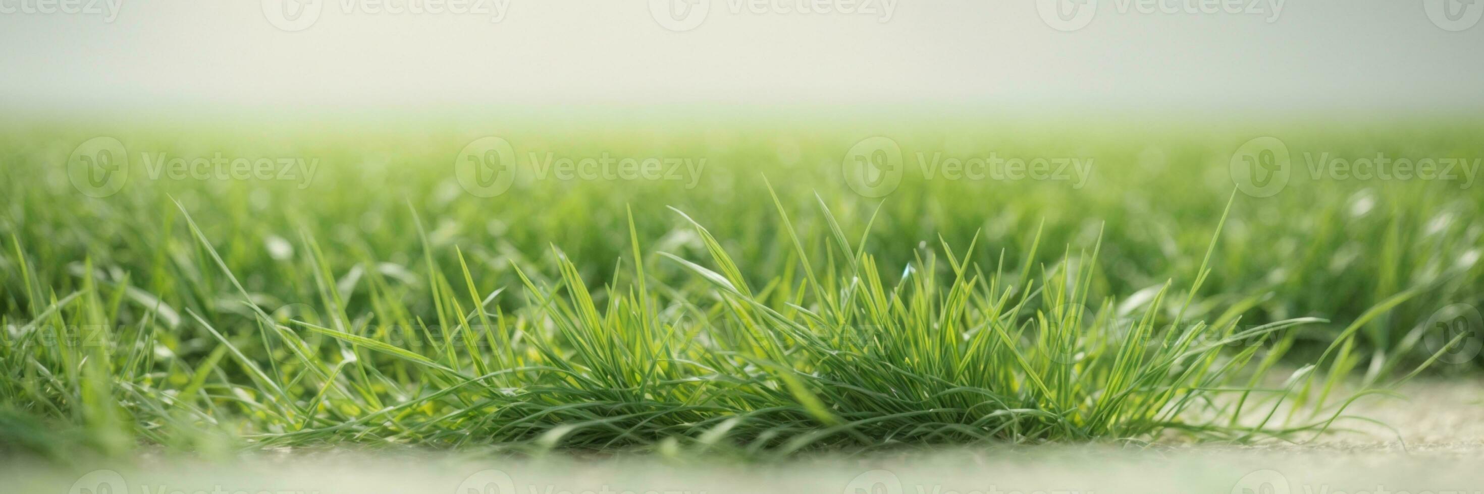 Frais printemps vert herbe. ai généré photo