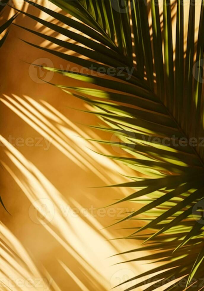 tropical Contexte pour une produit placement, paume arbre feuilles et lumière du soleil ombres sur le mur, minimaliste botanique toile de fond, paumes sur une chaud ensoleillé jour, génératif ai photo