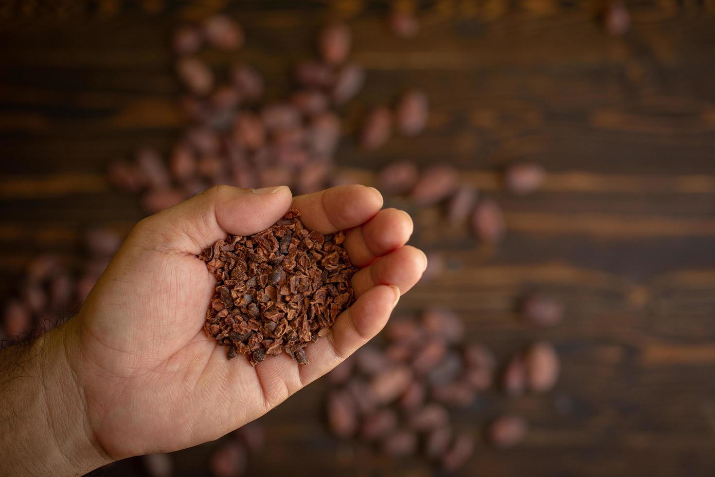 fèves de cacao à la main sur fond de bois naturel ancien photo