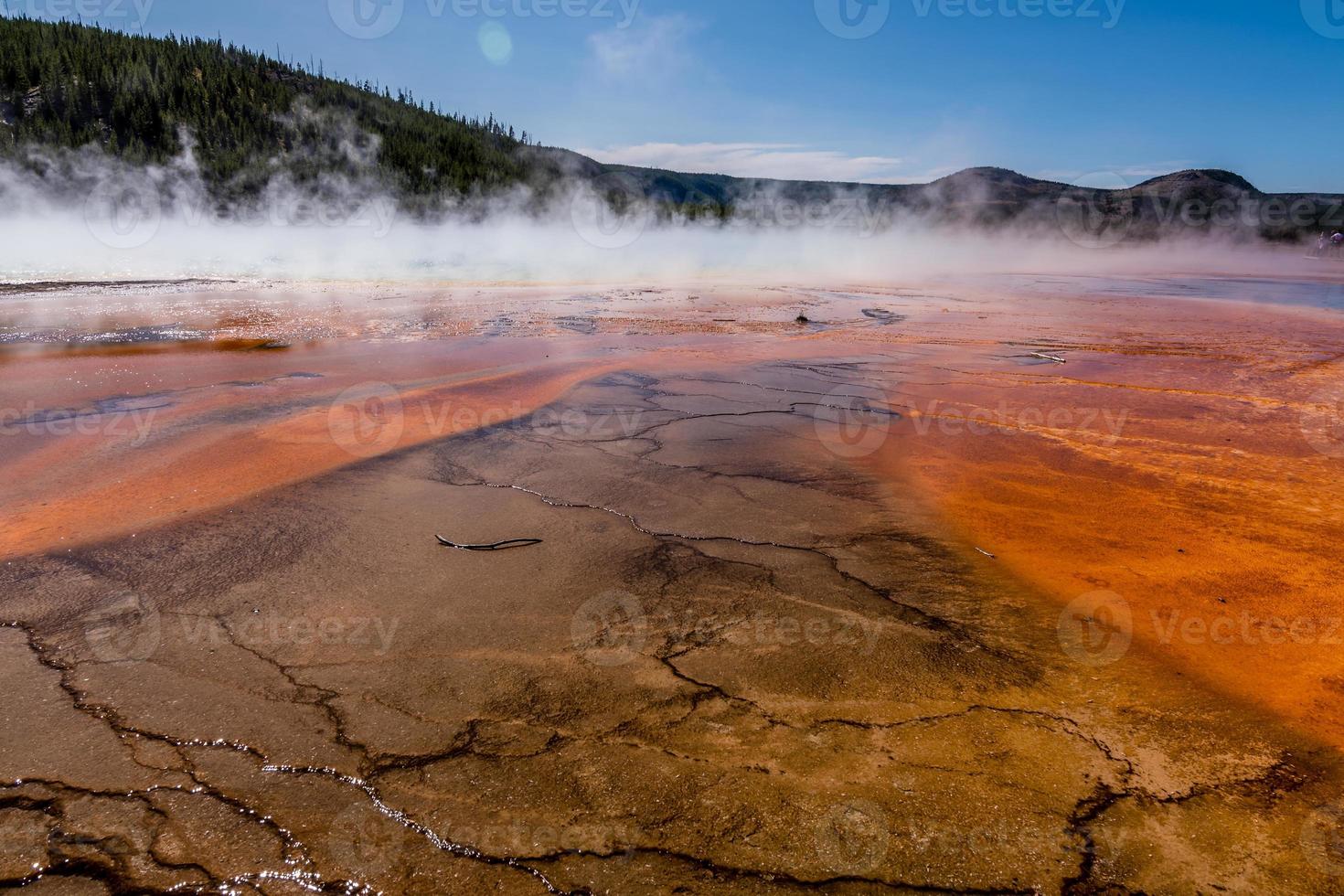 Grand printemps prismatique dans le parc national de Yellowstone photo