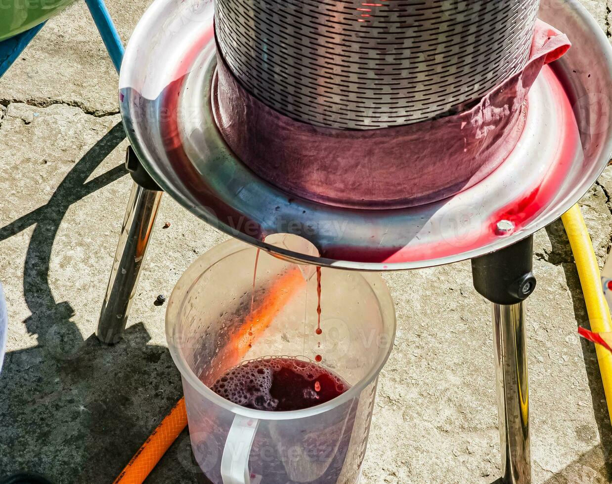 le processus de fabrication fait maison grain de raisin du vin. le opération de une hydraulique presse à obtenir grain de raisin jus pour fermentation. photo