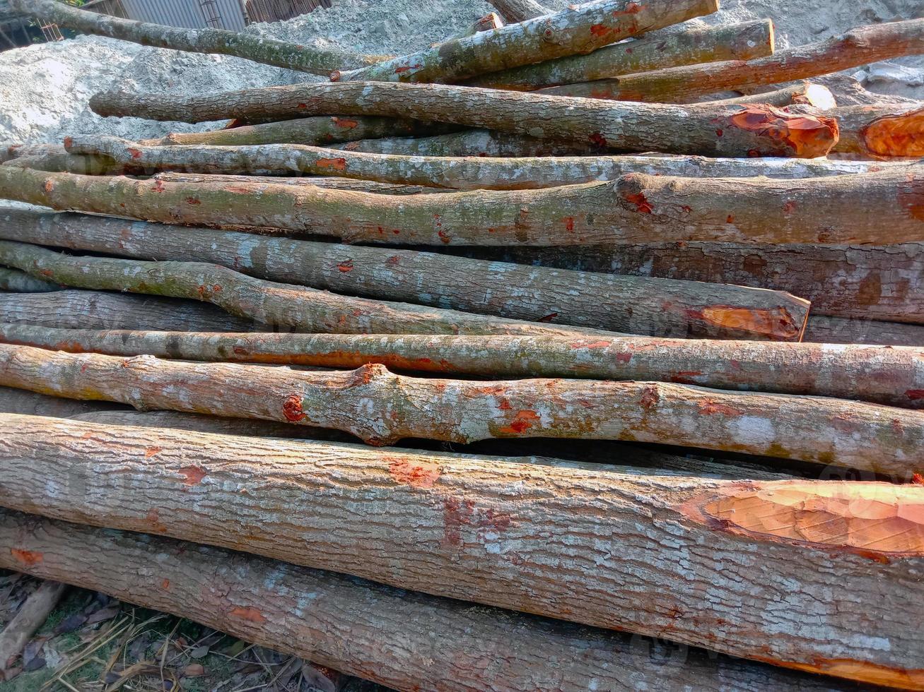 stock d'arbres sur scierie pour meubles photo