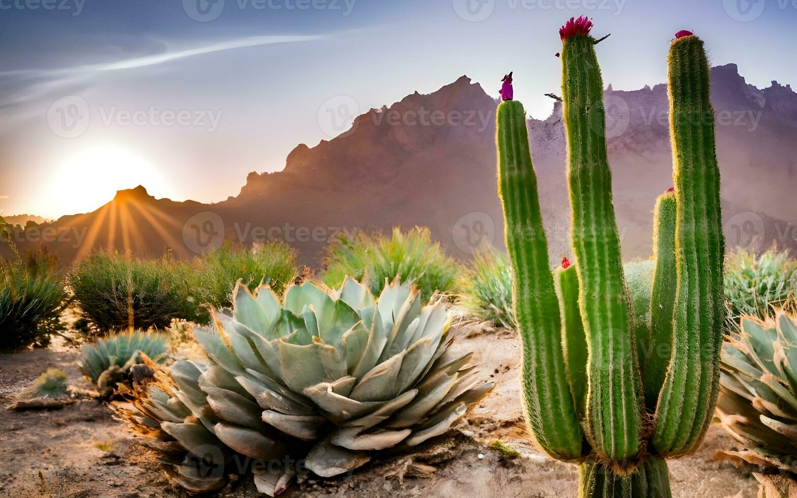 texturale tapisserie de désert cactus, explorant le complexe et unique motifs de aride beauté. ai généré photo