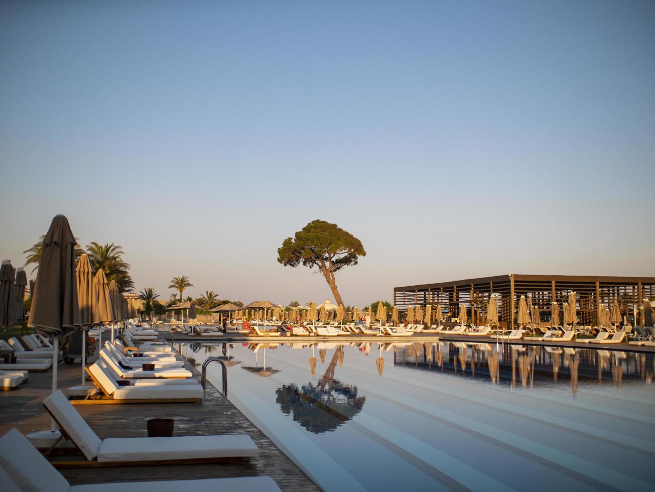 piscine dans un complexe de luxe ou un hôtel donnant sur un grand arbre et la plage sous un ciel bleu photo