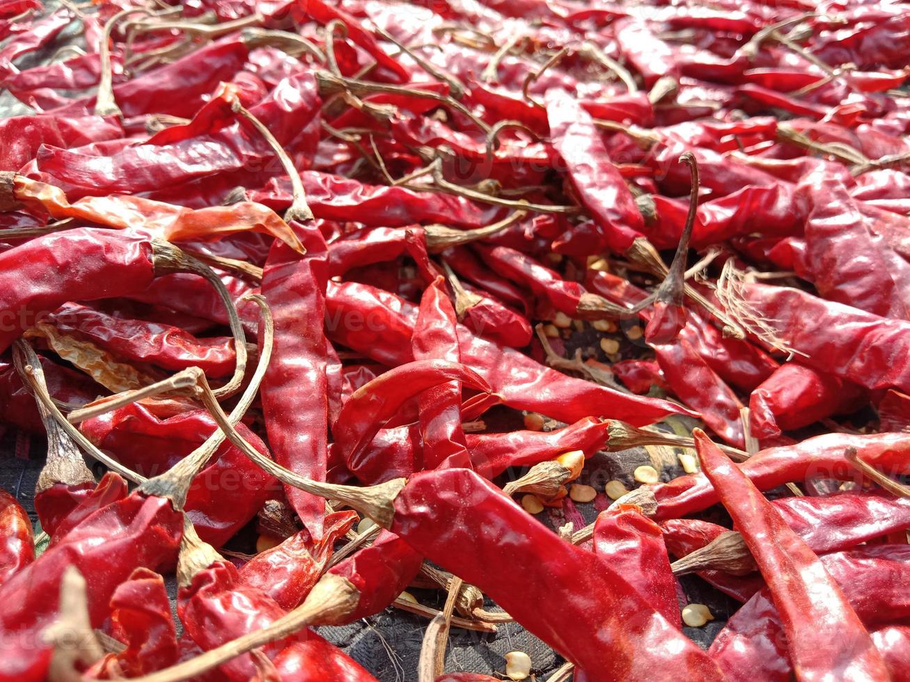 bouillon de piment rouge et épicé photo