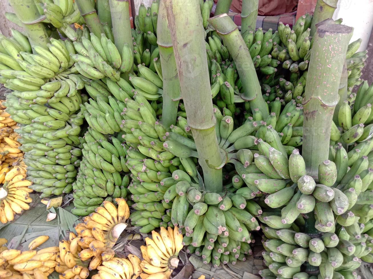 stock de bananes crues saines photo