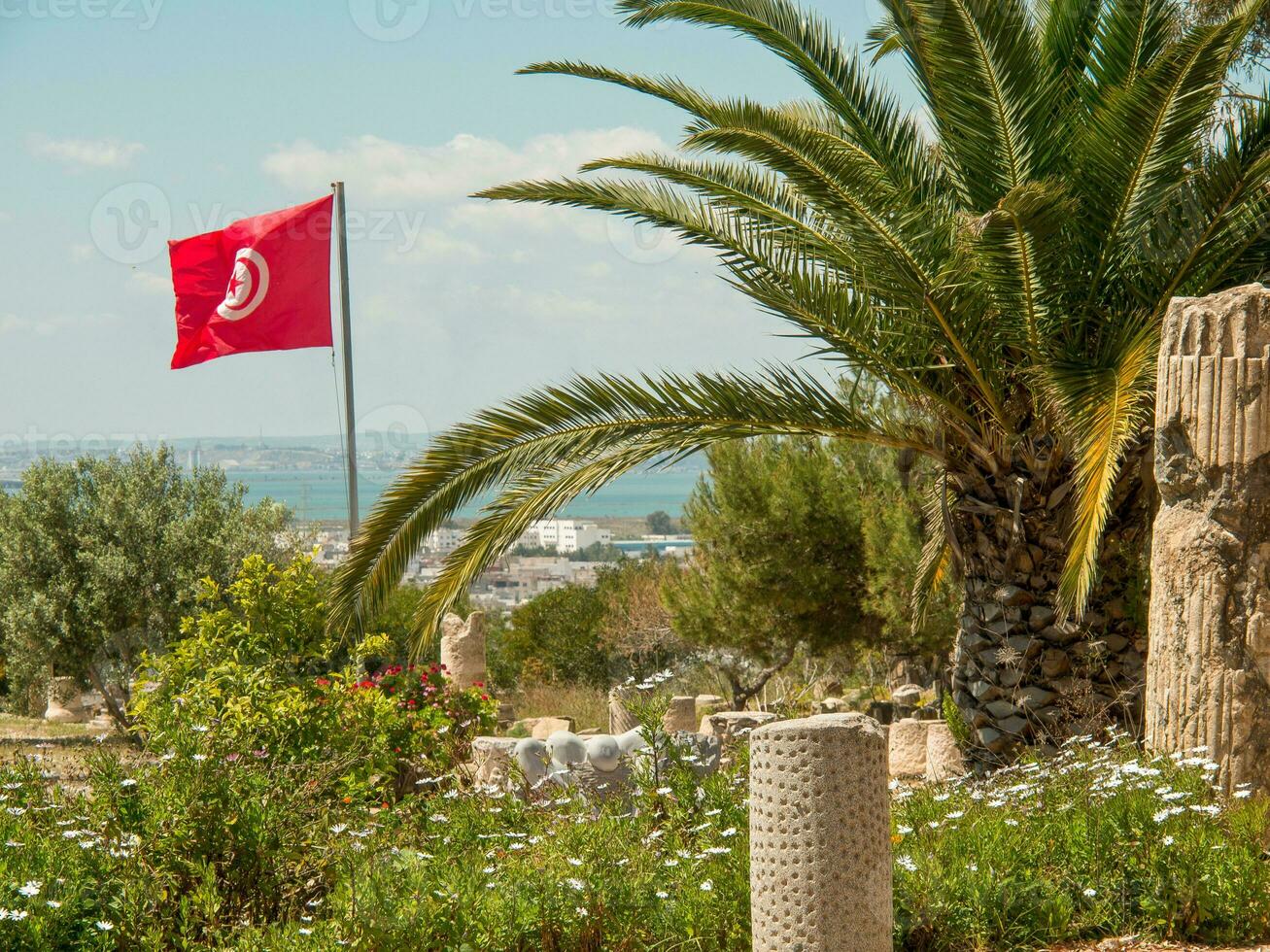 le ville de Tunis dans Afrique photo