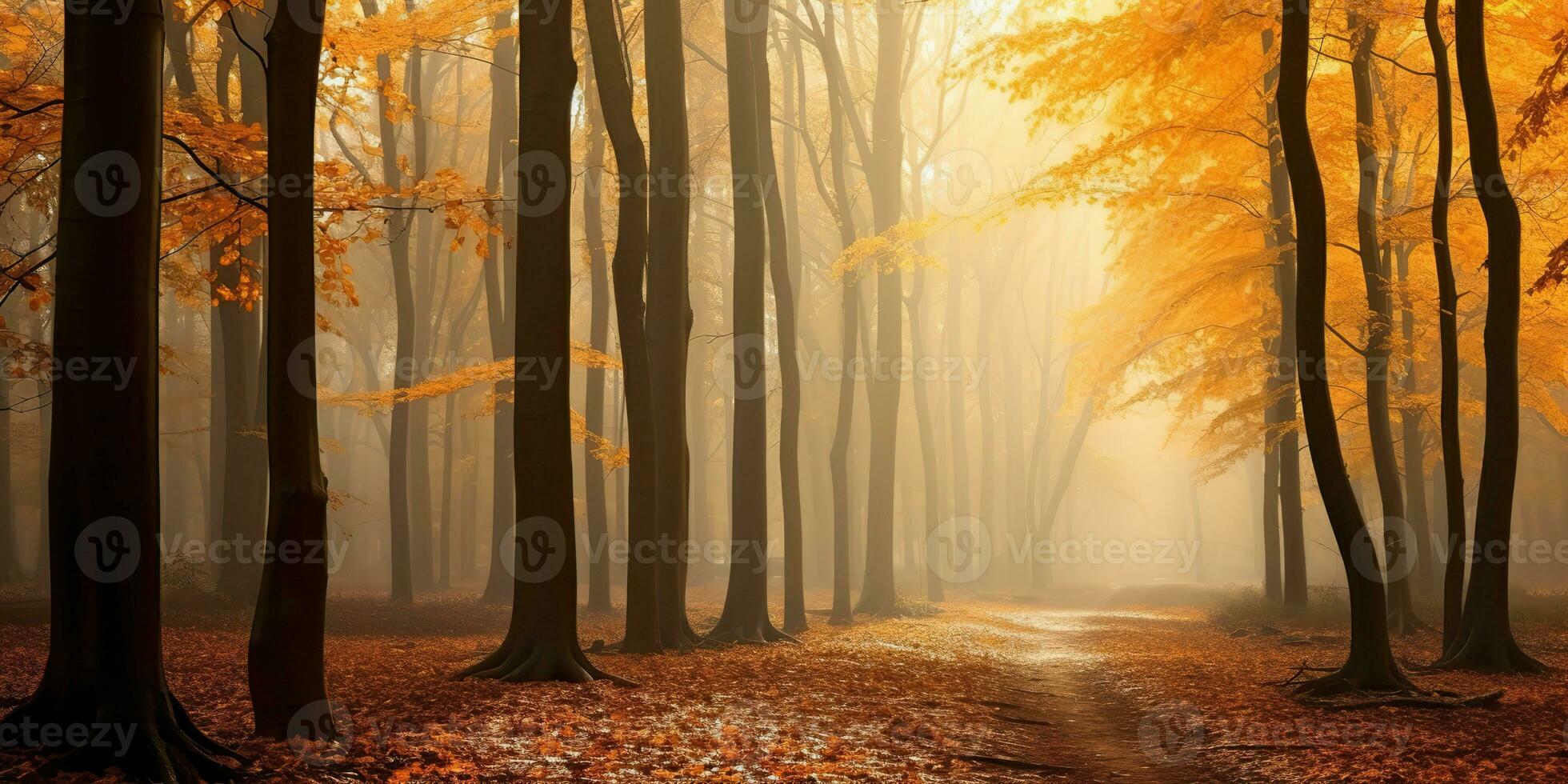 ai généré. ai génératif. l'automne forêt Extérieur la nature Orange Jaune parc tomber paysage Contexte. graphique art photo