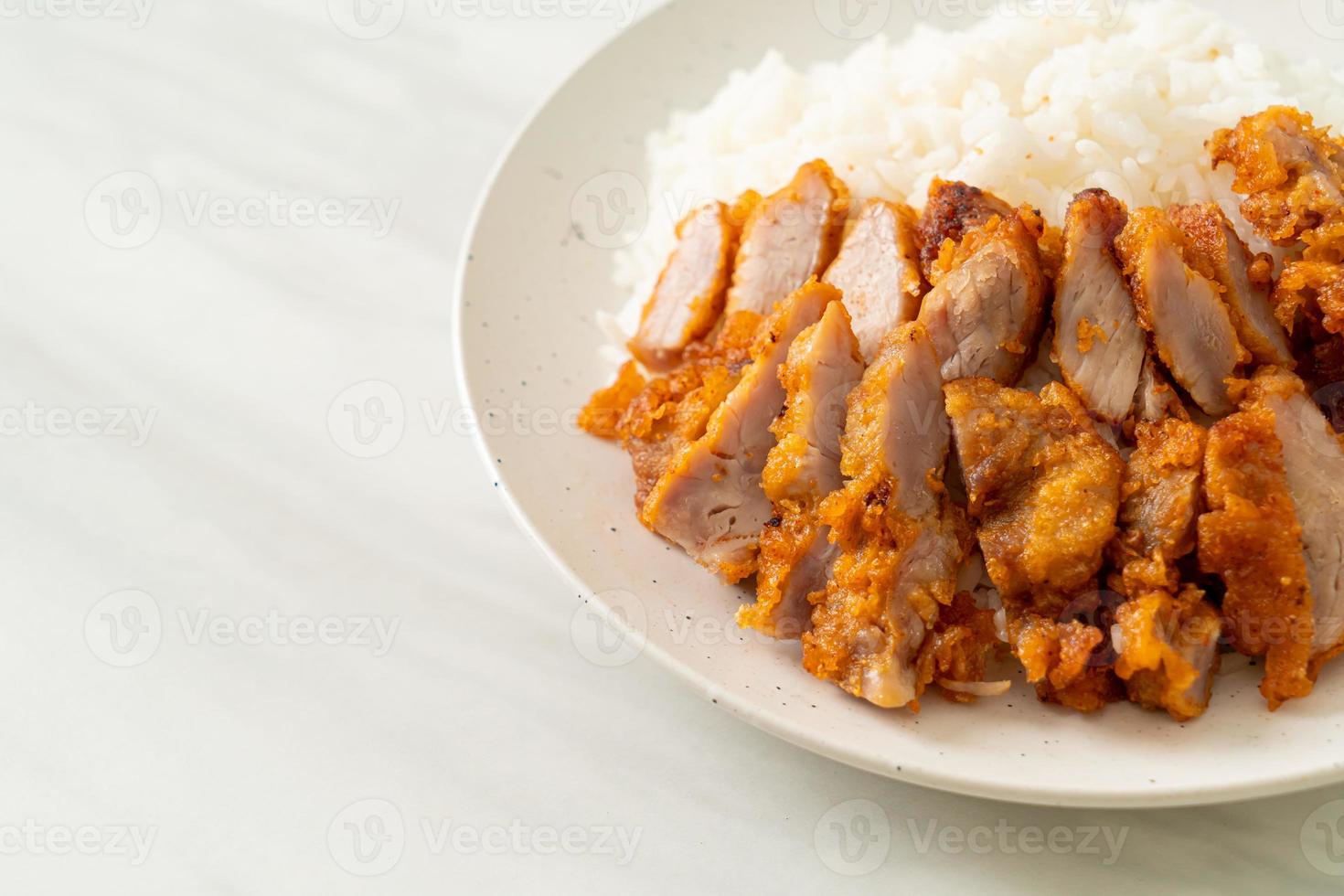 porc frit garni de riz avec trempette épicée photo