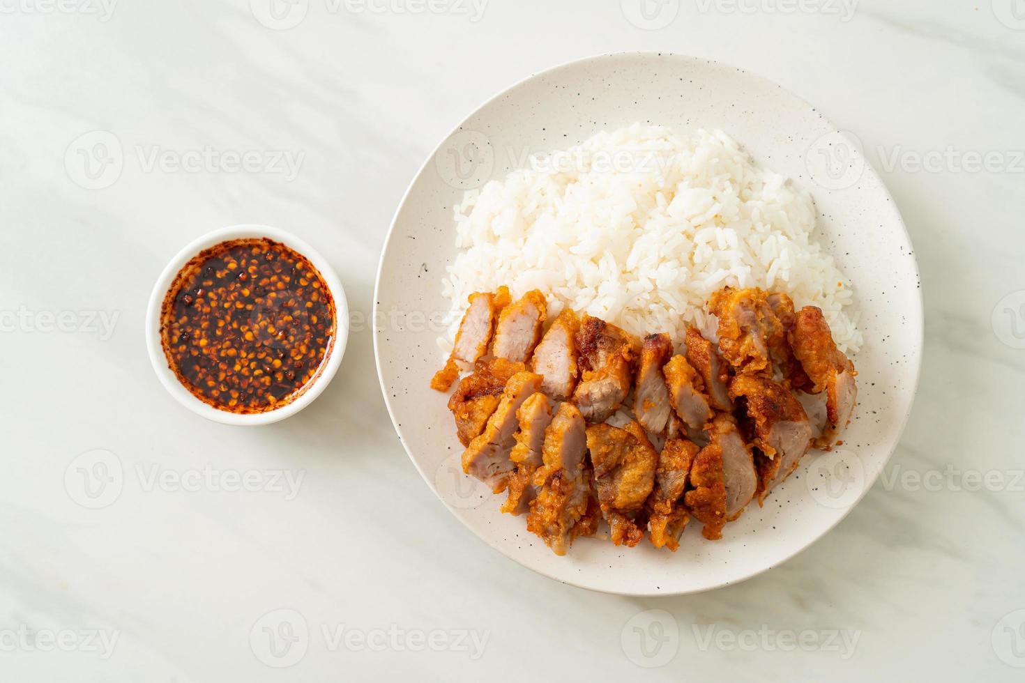 porc frit garni de riz avec trempette épicée photo