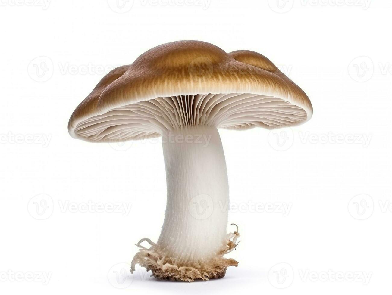 champignon isolé sur blanc Contexte .génératif ai. photo
