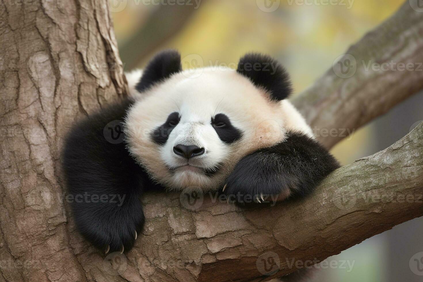 Panda en mangeant bambou sur une arbre branche.générative ai. photo