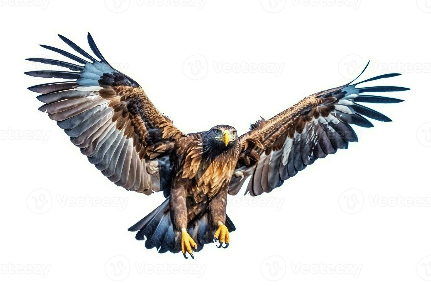 Aigle en volant isolé sur bleu ciel.génératif ai. photo