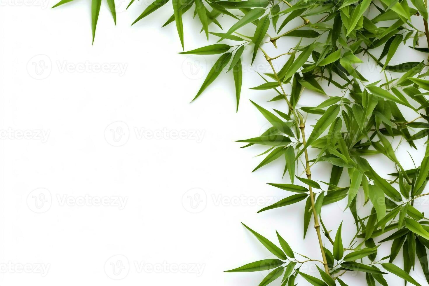 Feuille de bambou décoration bambou bambou plante feuille décorative  arrangement Photo Stock - Alamy