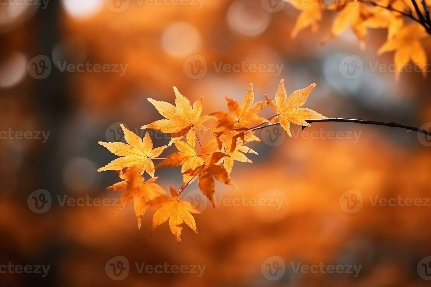 magnifique érable arbre avec l'automne arrière-plan.génératif ai. photo