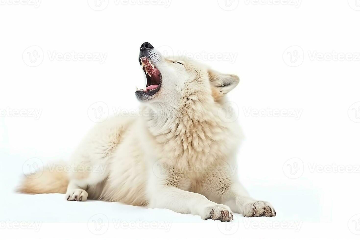 hurlement blanc Loup isolé sur blanc arrière-plan.génératif ai. photo