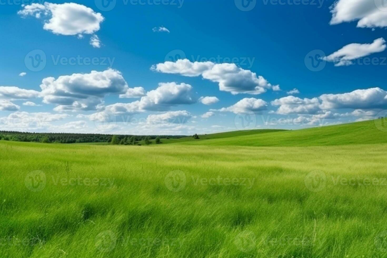 vert prés sur colline avec bleu ciel photo