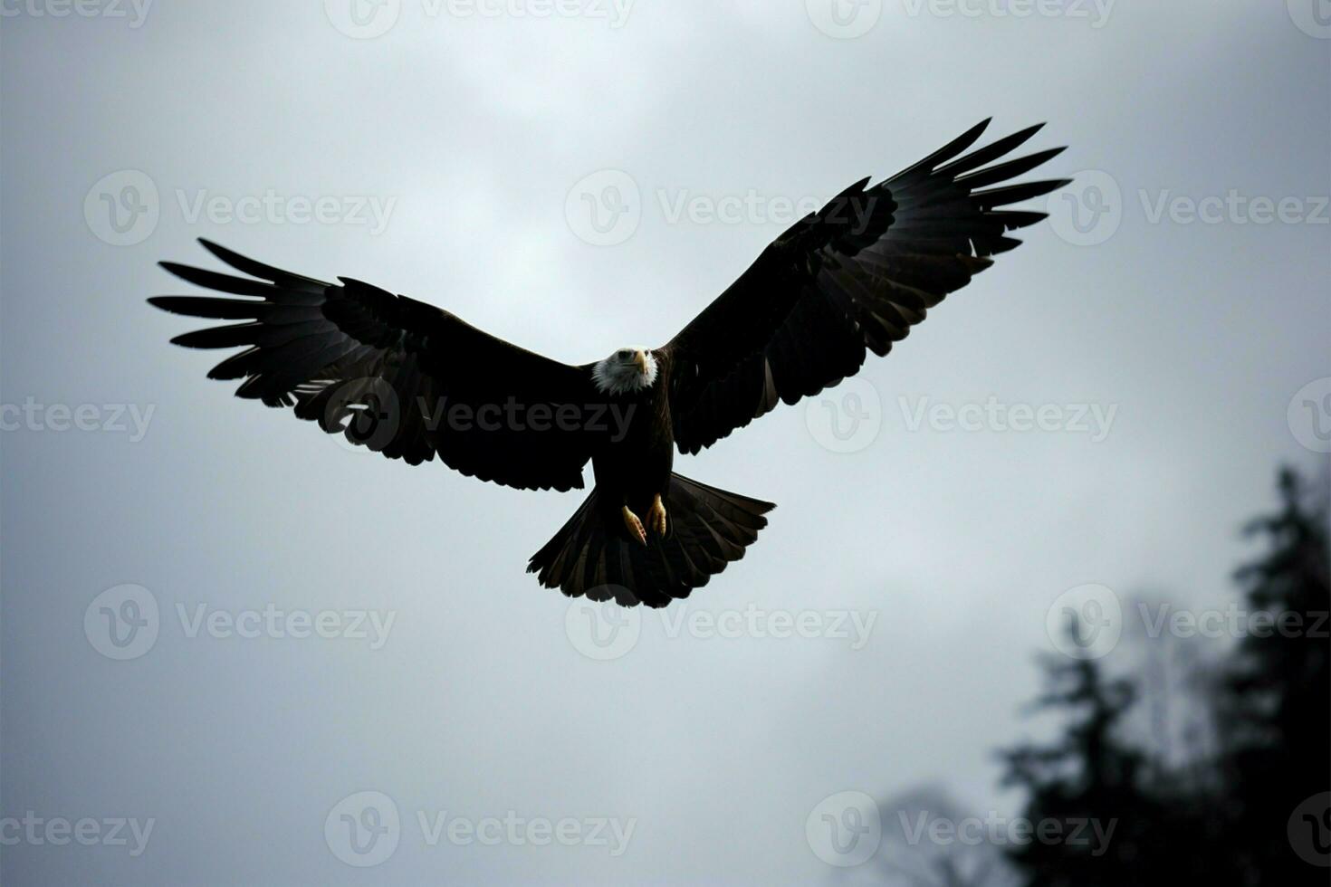 un aigles silhouette au milieu de Montagne pics dans audacieux noir et blanc ai généré photo