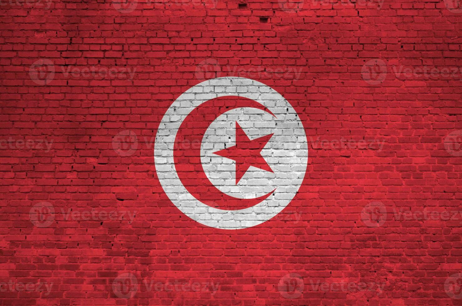 Tunisie drapeau représenté dans peindre couleurs sur vieux brique mur. texturé bannière sur gros brique mur maçonnerie Contexte photo