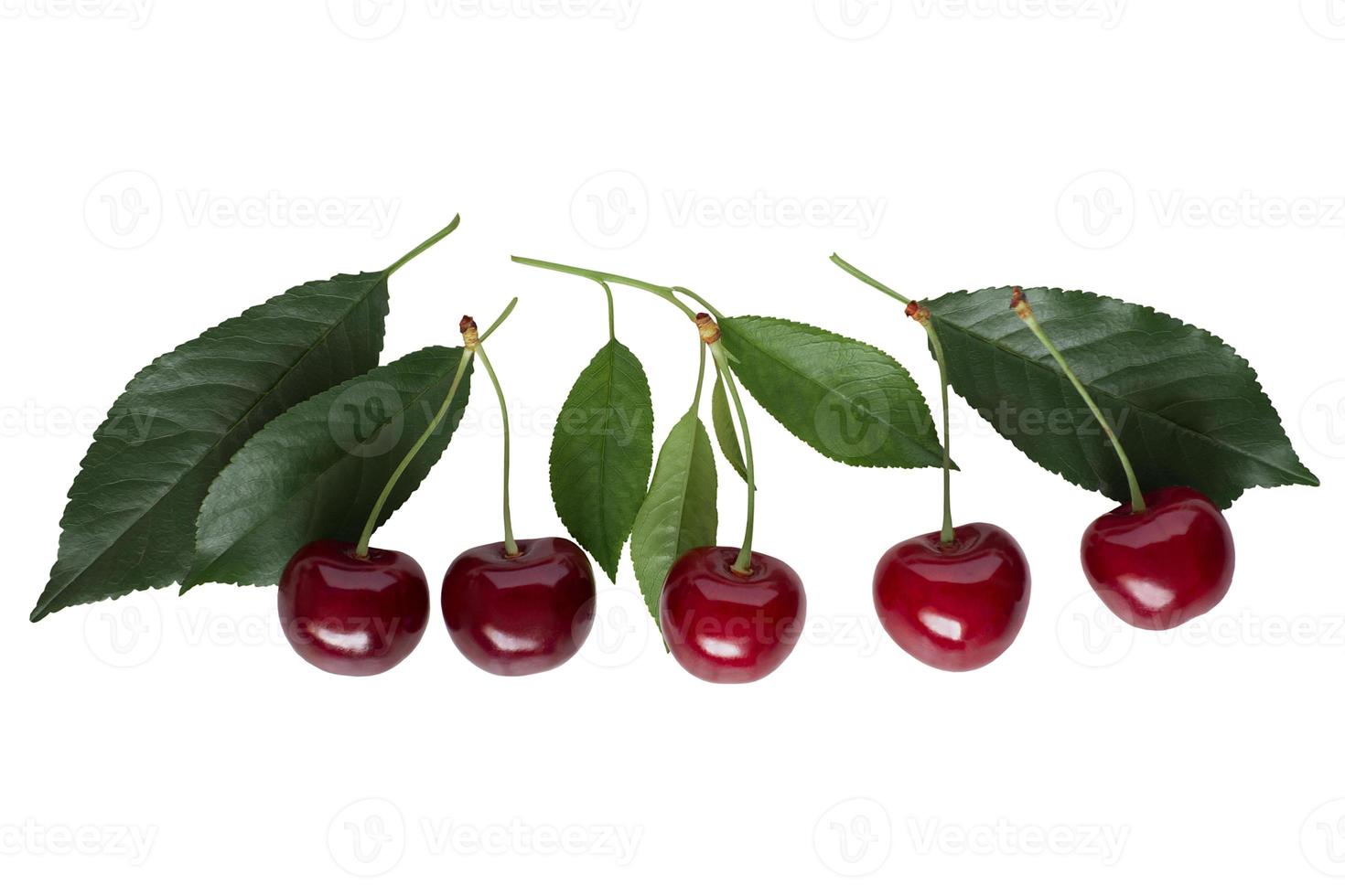 cerises isolées sur un tracé de détourage fond blanc photo