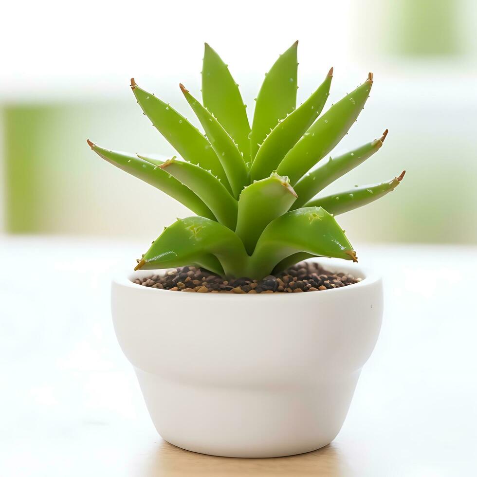 mignonne aloès plante dans une pot avec Contexte - ai généré photo