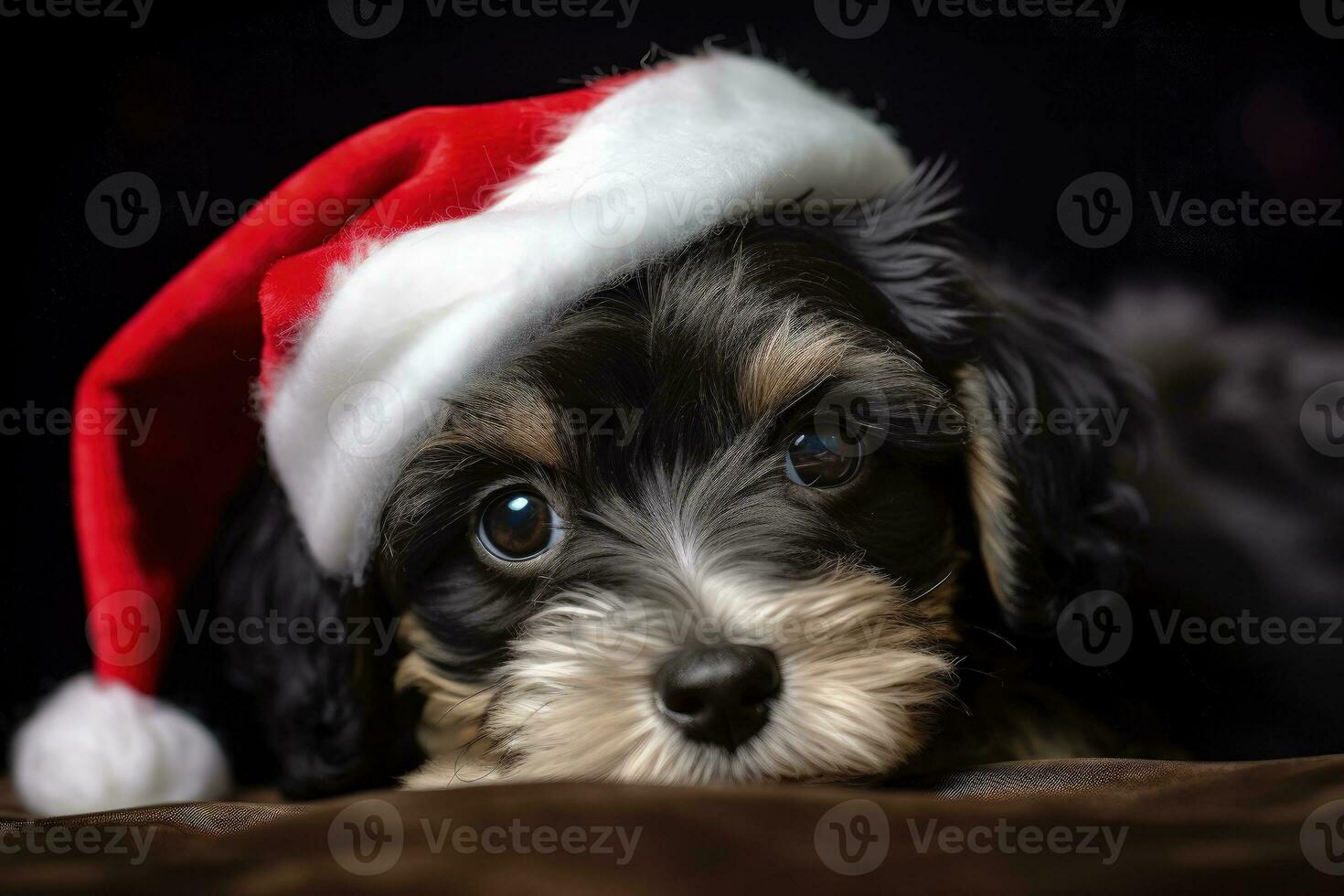 mignonne chien avec Père Noël claus chapeau, Noël vacances concept. génératif ai photo