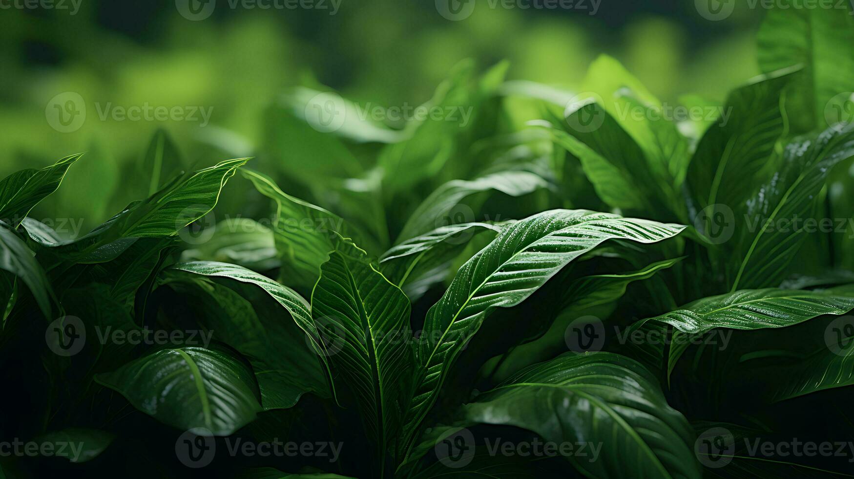 captivant gros plans - vert feuille beauté, généré ai image photo