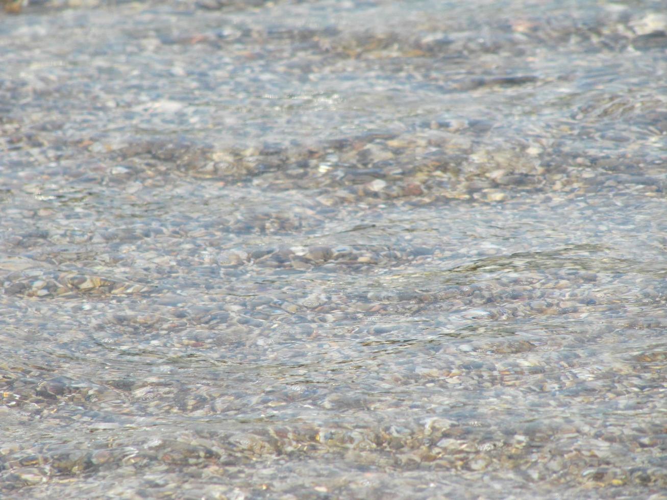 montre l'écume de la vague de la mer, l'étang de la faune, la plage photo