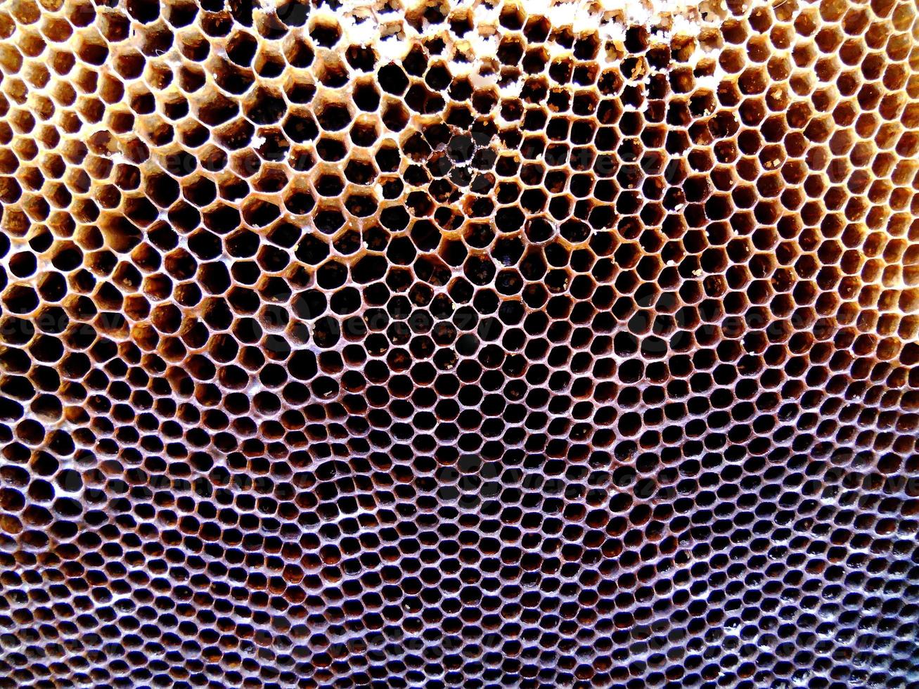 texture d'hexagone de fond, nid d'abeille de cire d'une ruche d'abeille photo