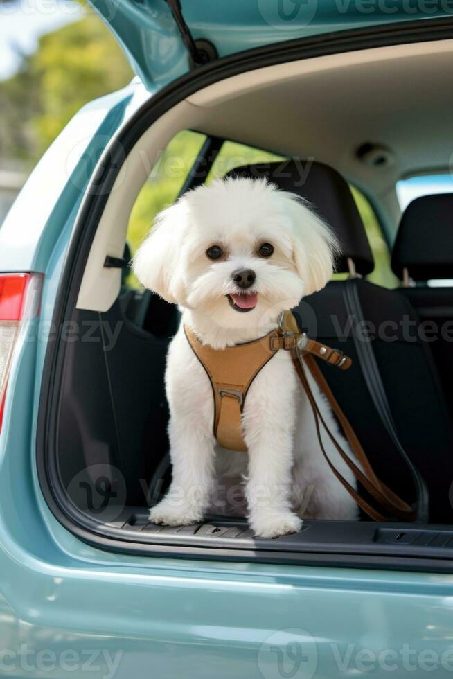 mini mignonne maltais bichon chien séance à retour de voiture prêt pour Voyage ai généré photo