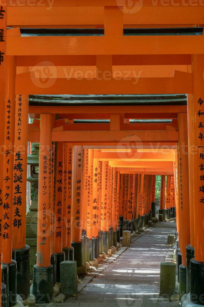 le tombeau de le mille torii portes. fushimi inari tombeau. il est célèbre pour ses milliers de vermillon torii portes. Japon photo