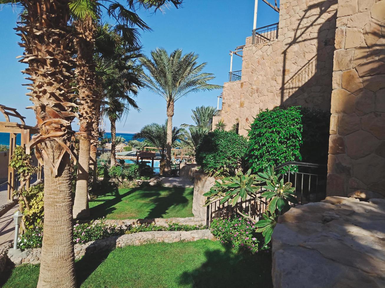 beau jardin verdoyant avec palmiers et buissons bouclés dans la ville d'hurghada, égypte photo