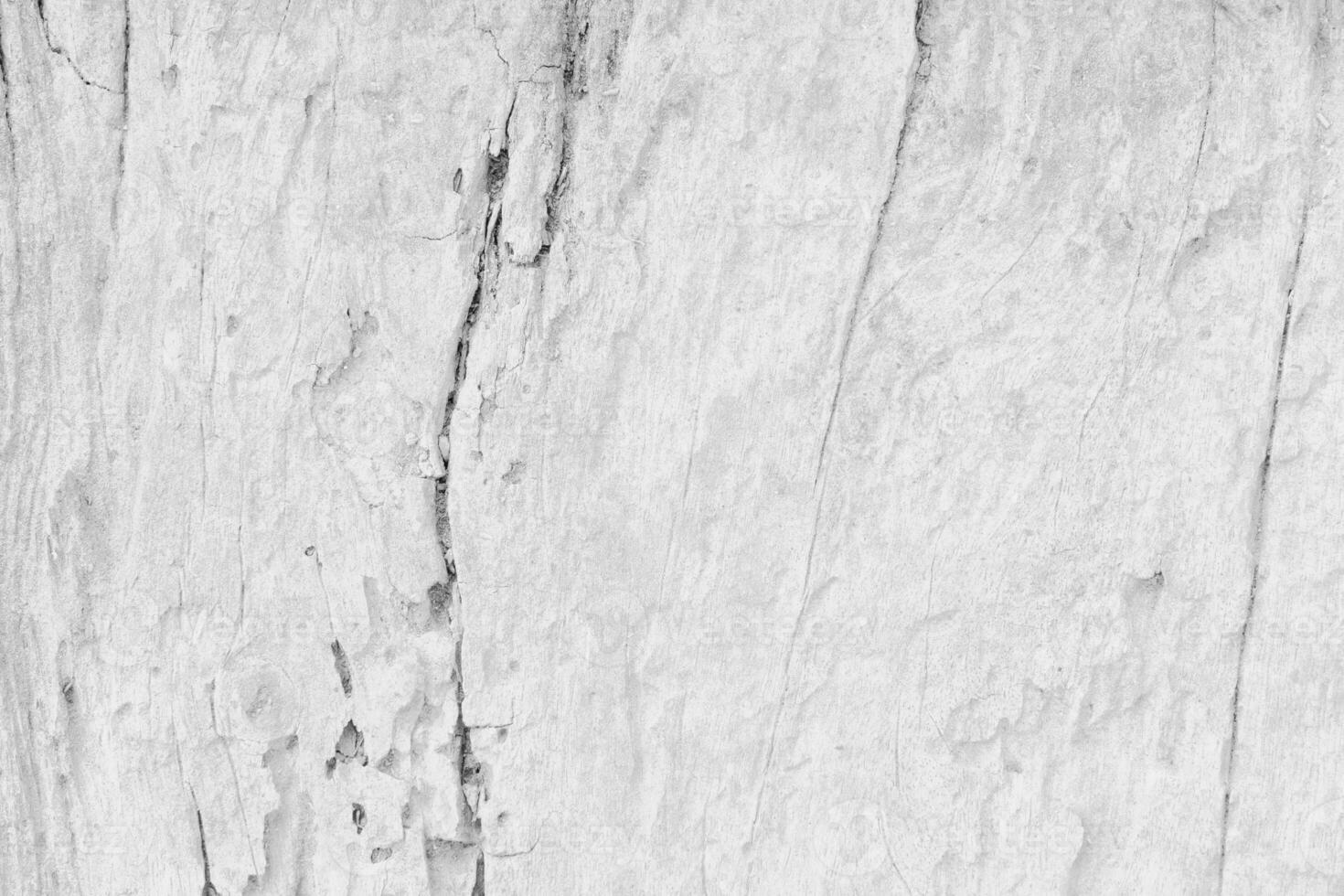 bois blanc arrière-plan, en bois modèle gris mur abstrait planche planche pour conception photo