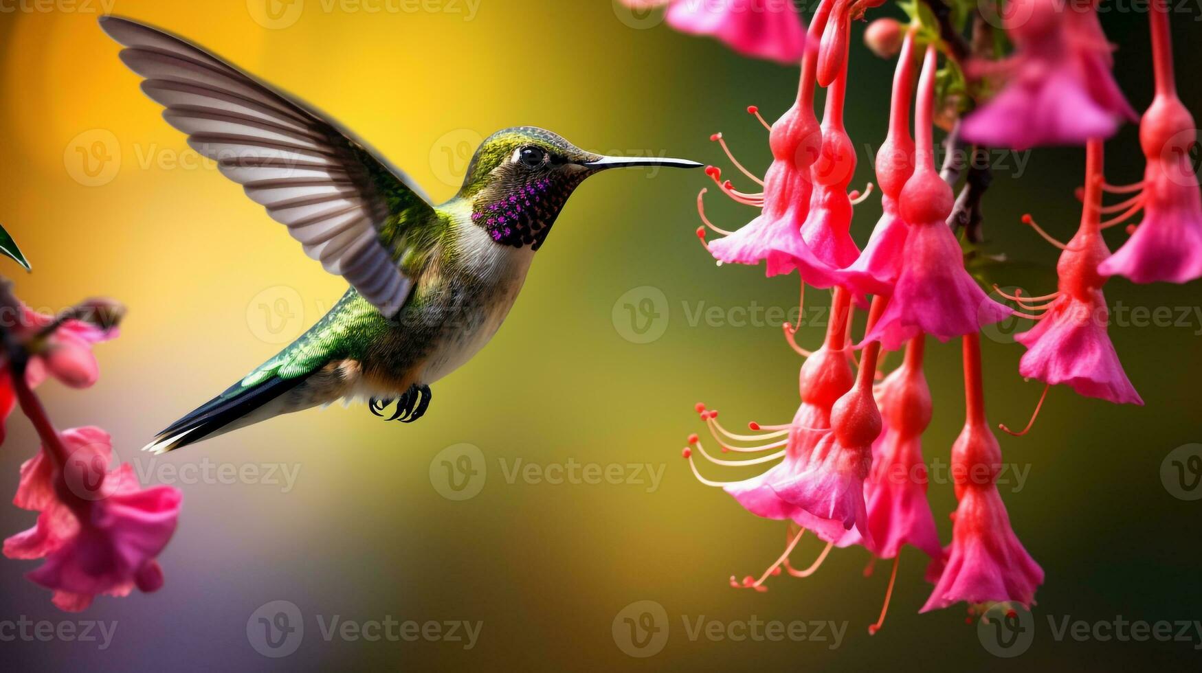 une couple bourdonnement oiseau et fleur ai génératif photo