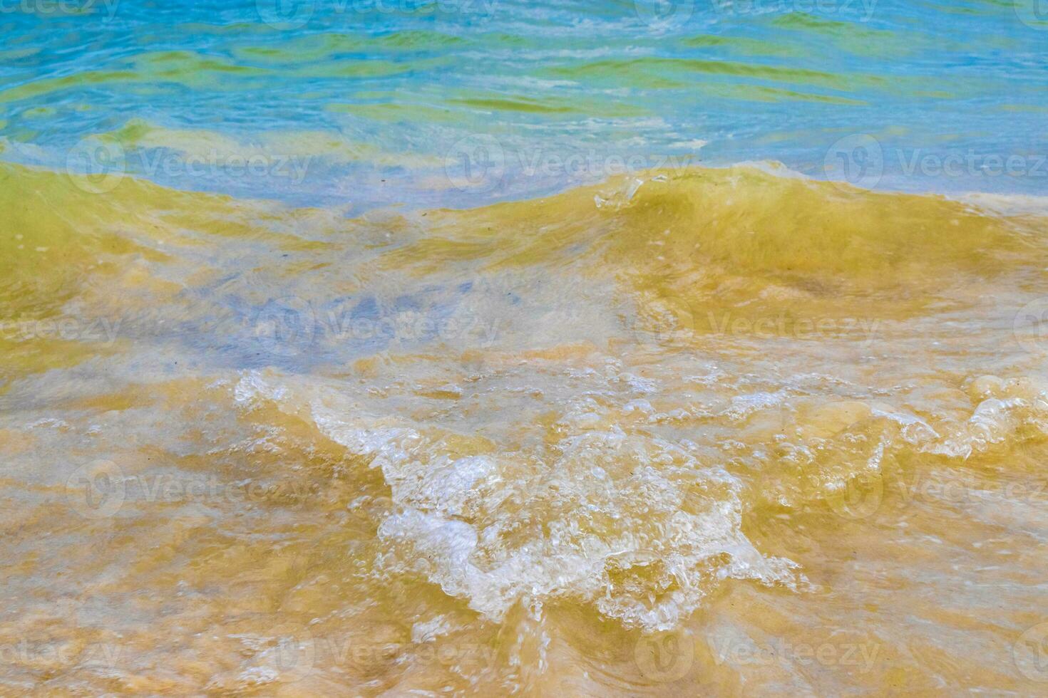 vagues à la plage tropicale mer des caraïbes eau turquoise claire mexique. photo