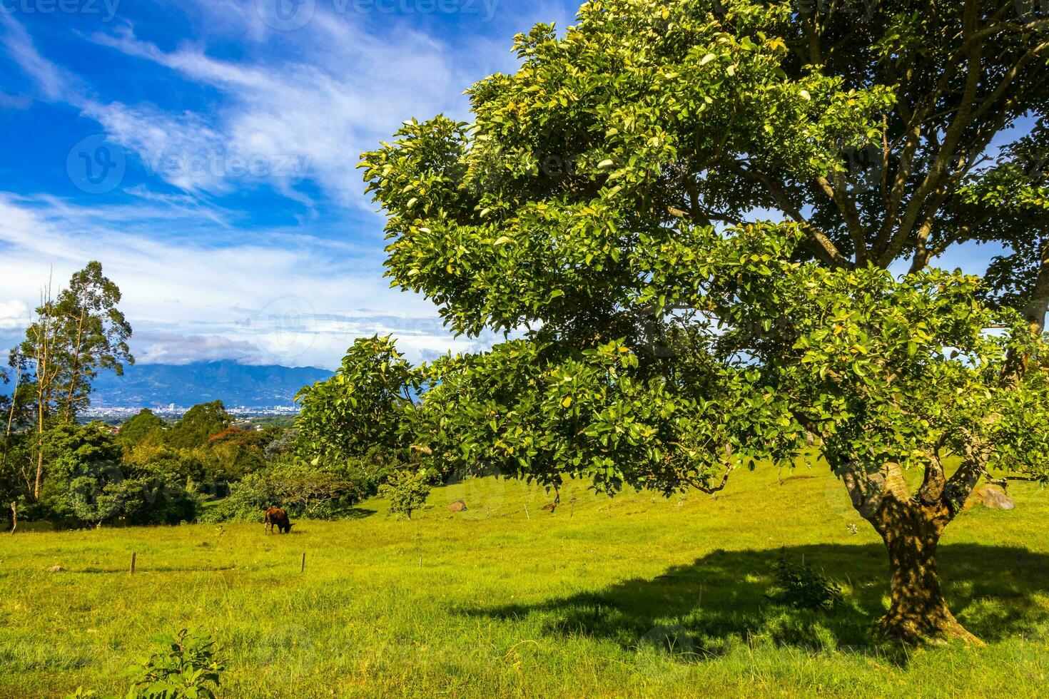 beau paysage de montagne ville panorama forêt arbres nature costa rica. photo