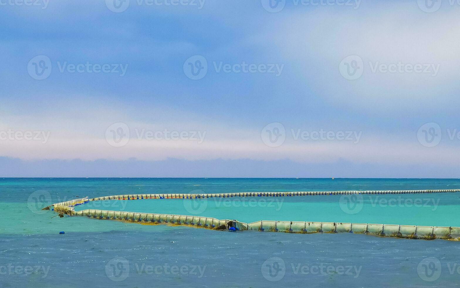 algue Sargazo net Caraïbes plage l'eau playa del Carmen Mexique. photo