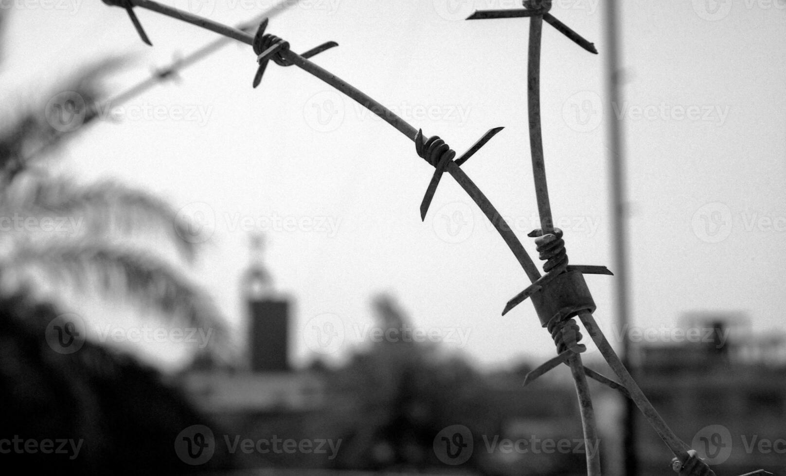 Clôture En Fil De Fer Barbelé Contre Un Ciel Sombre Et Dramatique.