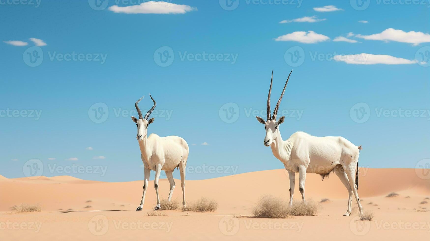 photo de une arabe oryx dans une désert avec bleu ciel. génératif ai