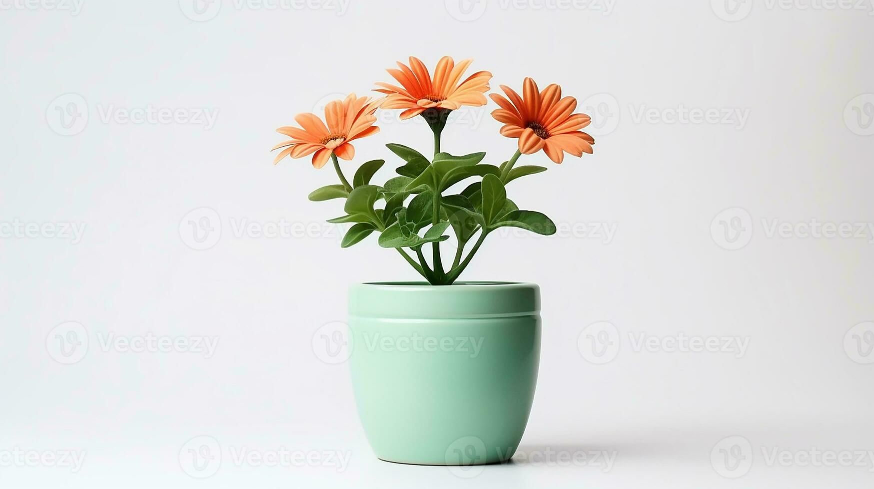 photo de chrysopse fleur dans pot isolé sur blanc Contexte. génératif ai