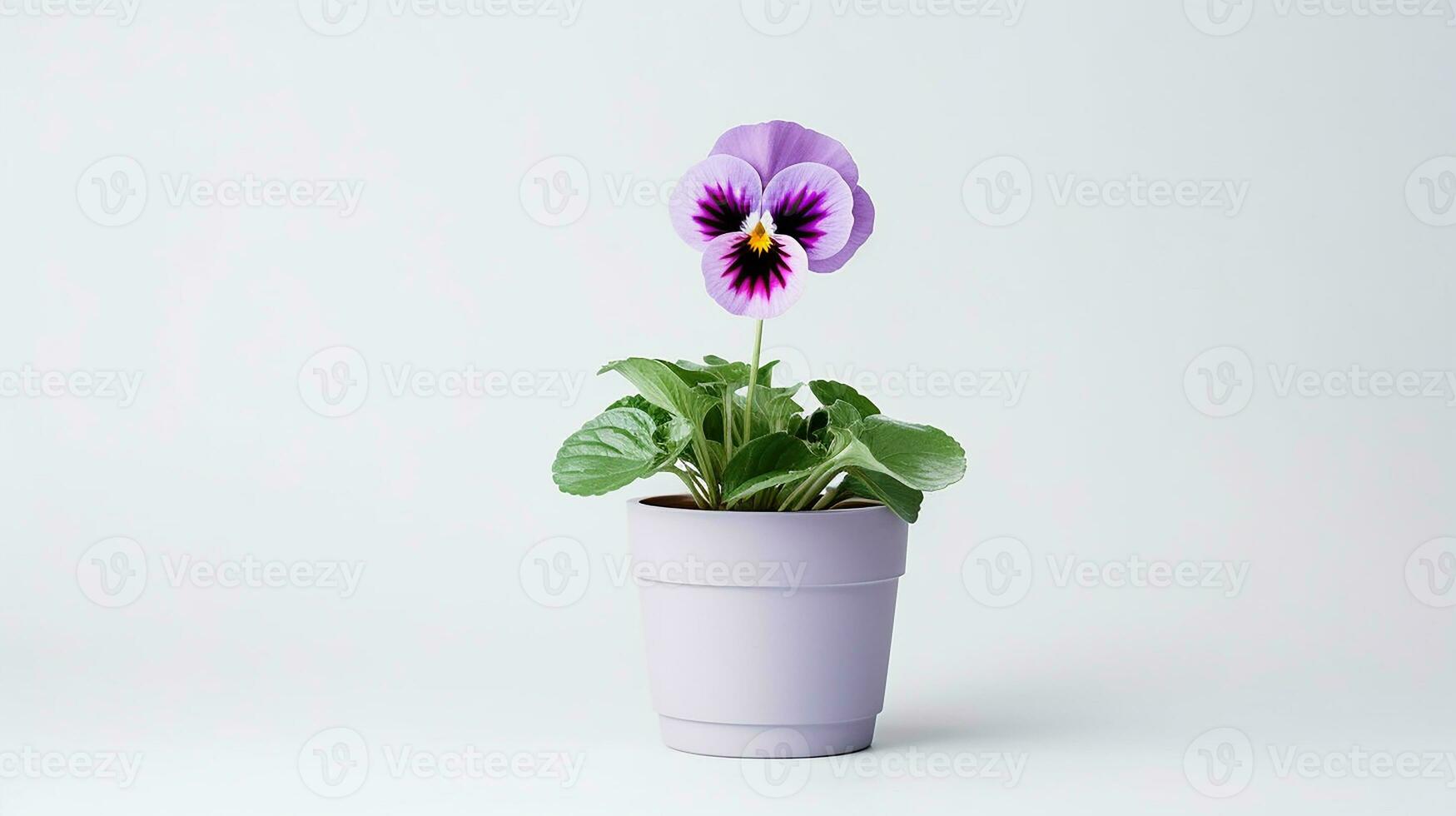 photo de pensée fleur dans pot isolé sur blanc Contexte. génératif ai