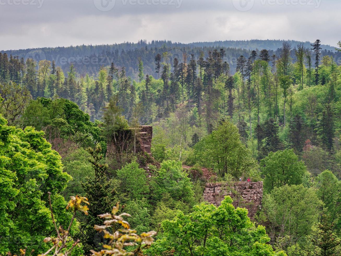 ruines du château médiéval de nidek dans les montagnes vosgiennes, alsace photo