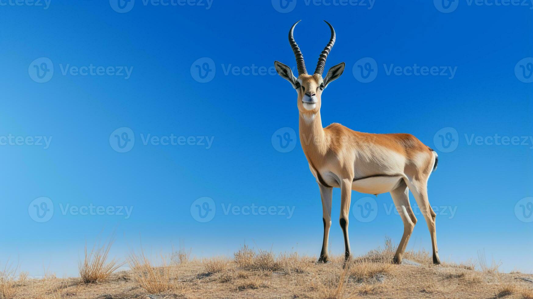 photo de une gazelle en dessous de bleu ciel. génératif ai