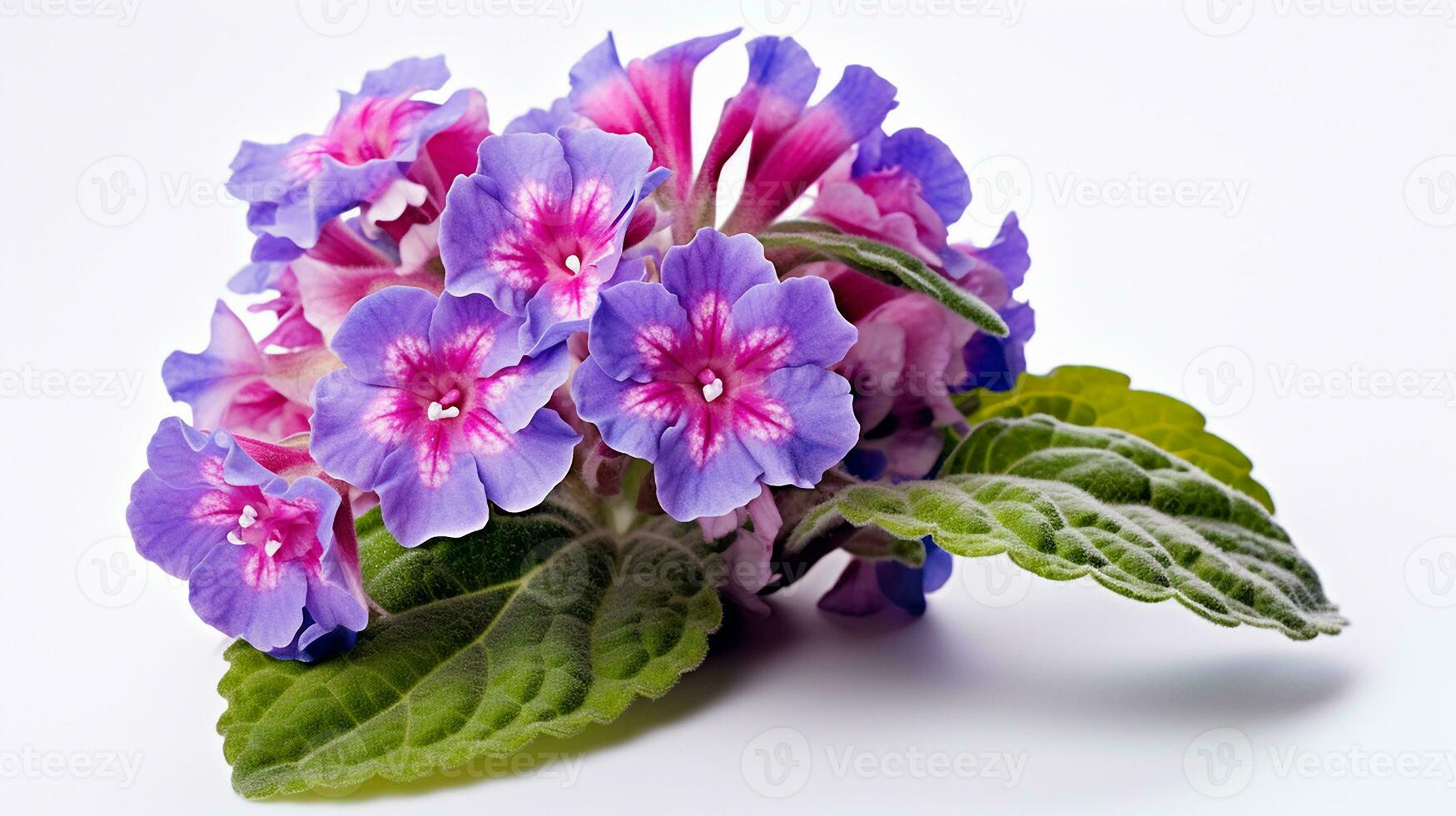 photo de magnifique pulmonaire fleur isolé sur blanc Contexte. génératif ai