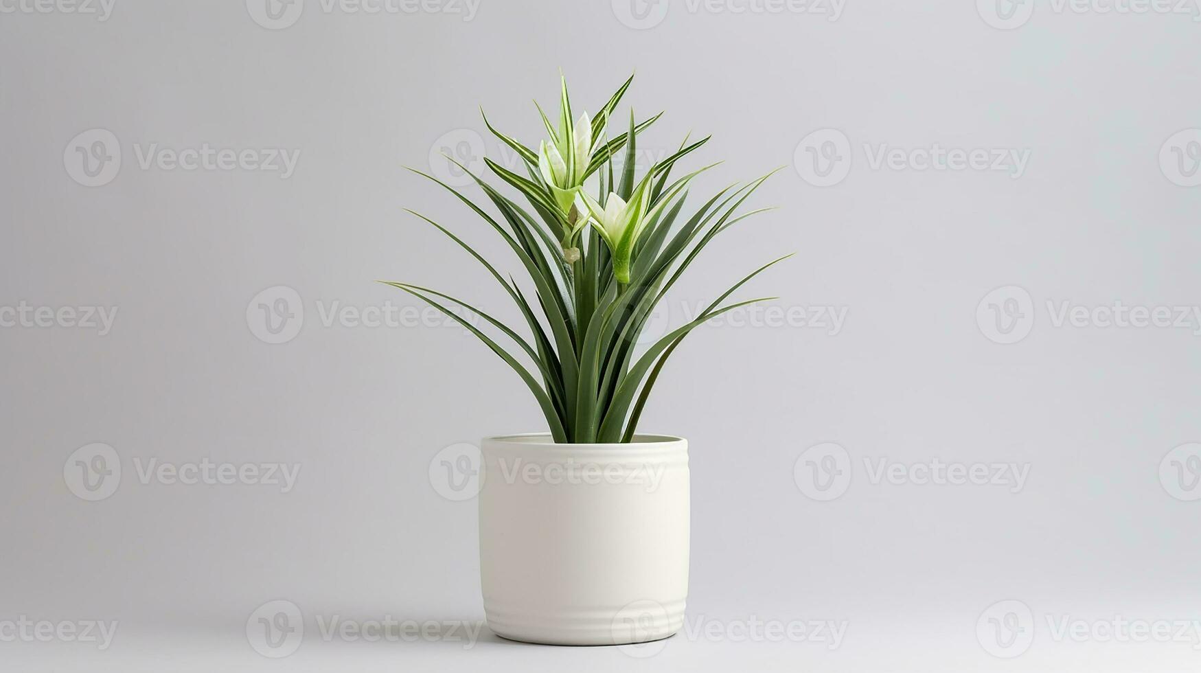 photo de yucca fleur dans pot isolé sur blanc Contexte. génératif ai