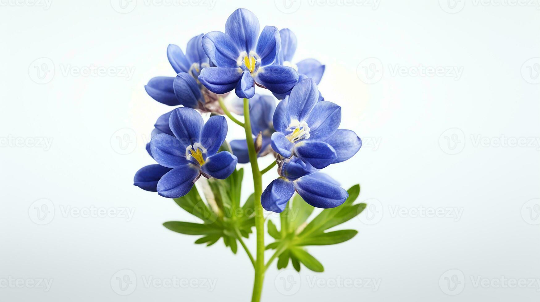 photo de magnifique bluebonnet fleur isolé sur blanc Contexte. génératif ai