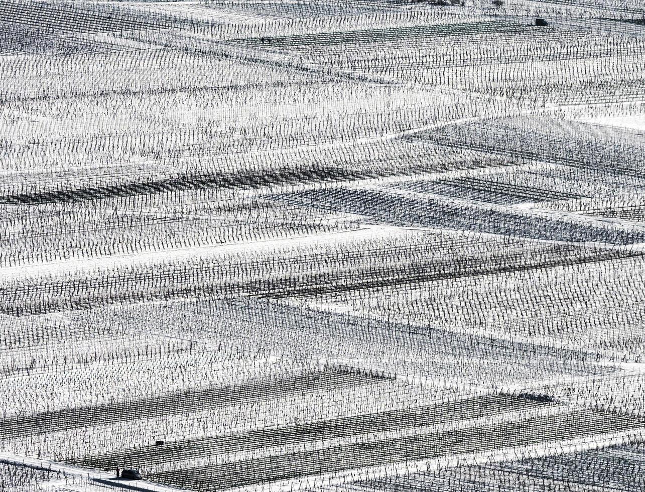 vue panoramique par drone sur les vignobles enneigés de la vallée du rhin photo